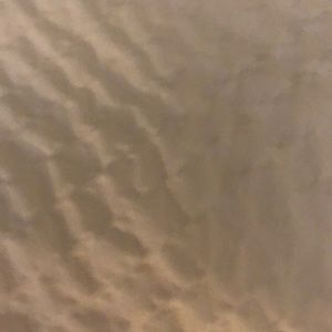 Meet your Posher, Peter